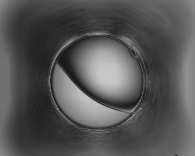 X0000097951189200803241147