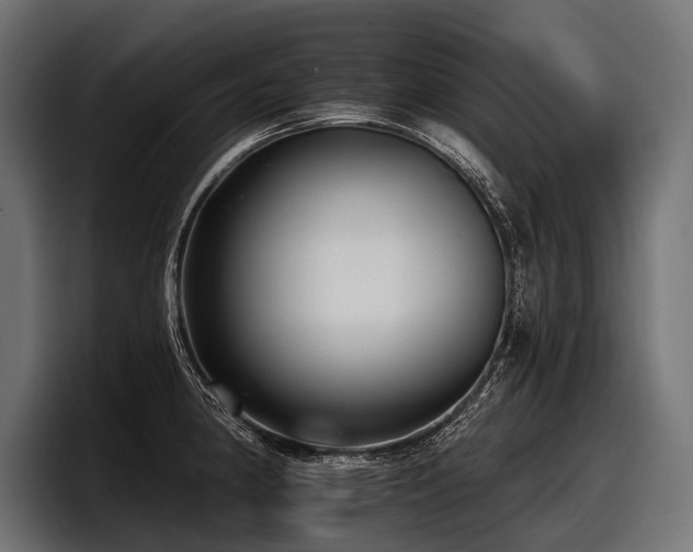 X0000097951190200803241147