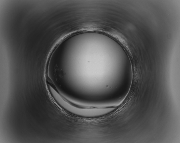 X0000097951191200803241147