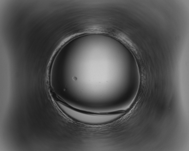X0000097951192200803241147