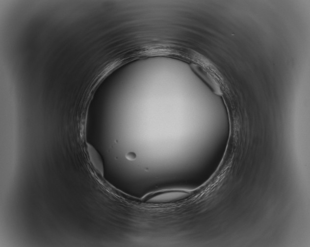 X0000097951193200803241147