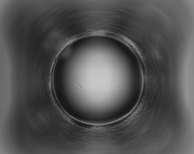 X0000097951194200803241147