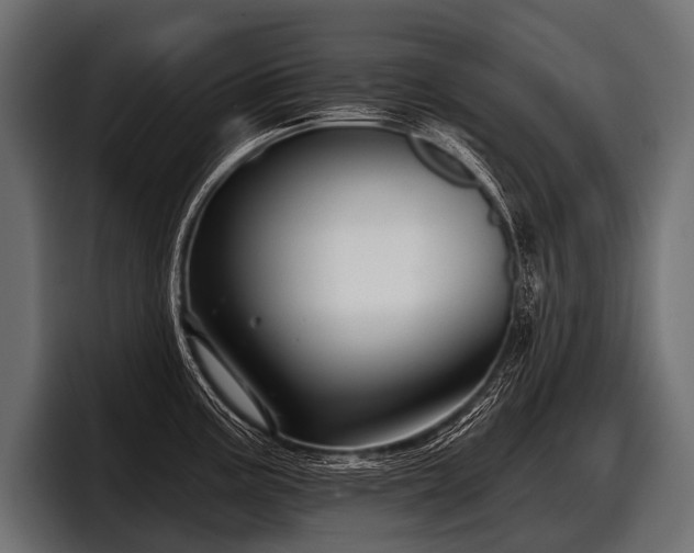 X0000097951195200803241147