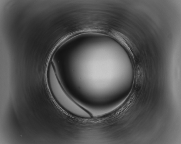 X0000097951197200803241147