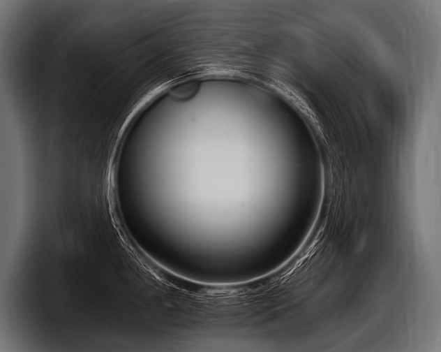 X0000097951198200803241147