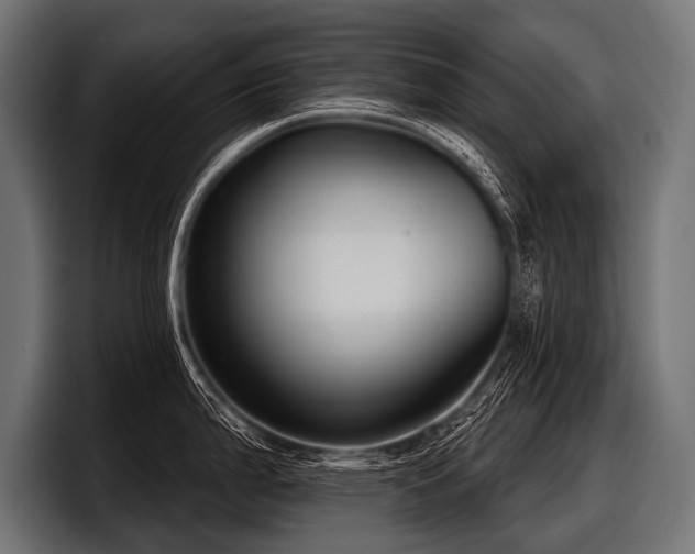 X0000097951199200803241147