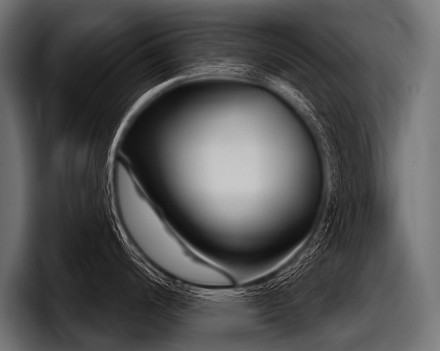 X0000097951200200803241147