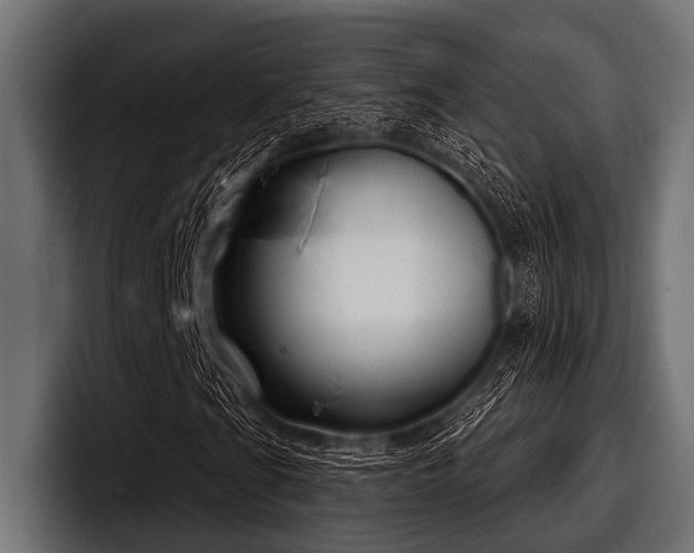 X0000097951201200803241146