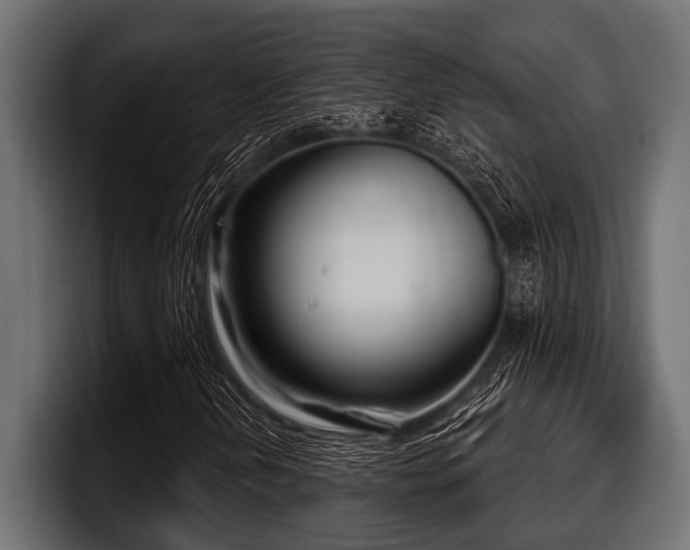 X0000097951202200803241146