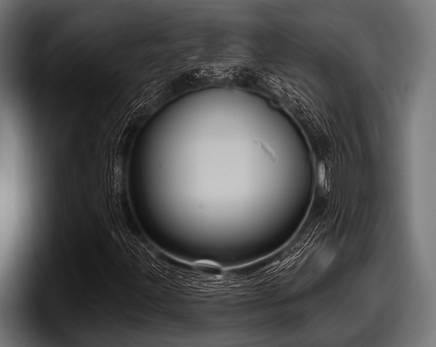 X0000097951203200803241147