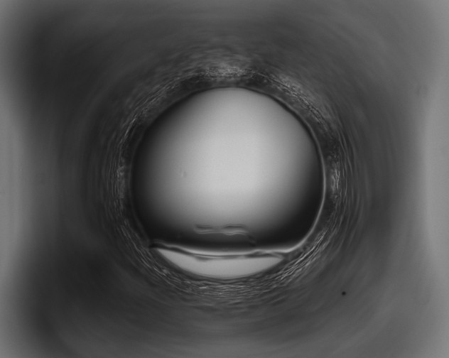 X0000097951204200803241147