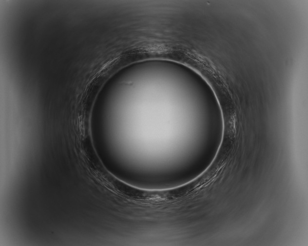 X0000097951205200803241147