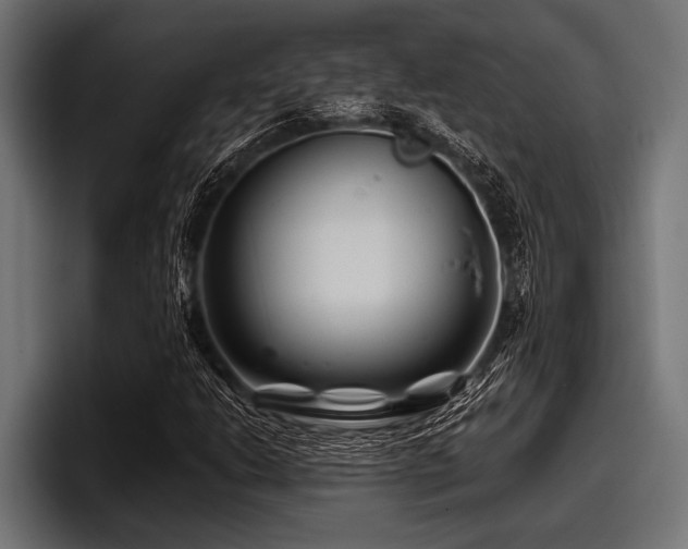 X0000097951206200803241147