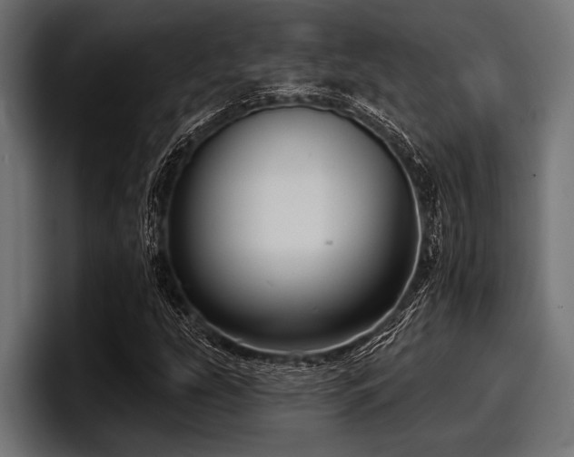 X0000097951207200803241147