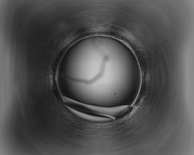 X0000097951209200803241147