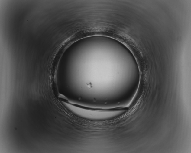 X0000097951210200803241147