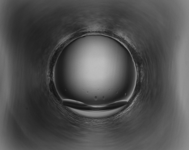 X0000097951213200803241147