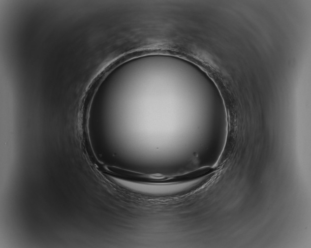 X0000097951216200803241147