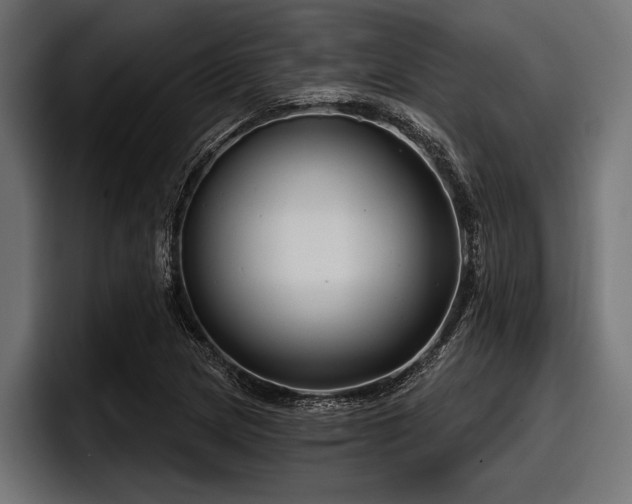 X0000097951217200803241147