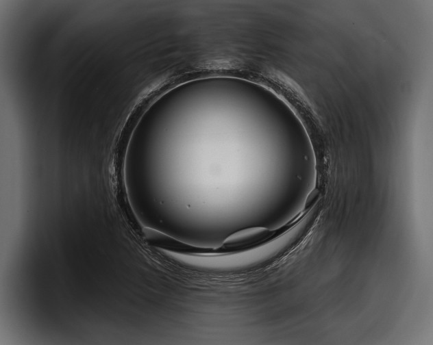 X0000097951218200803241147