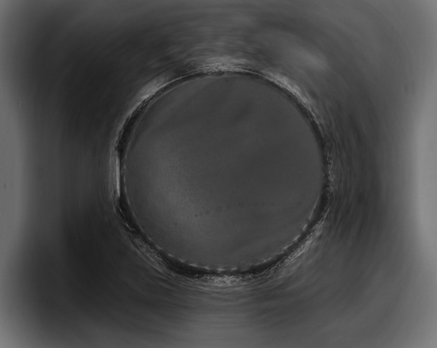 X0000097951219200803241147