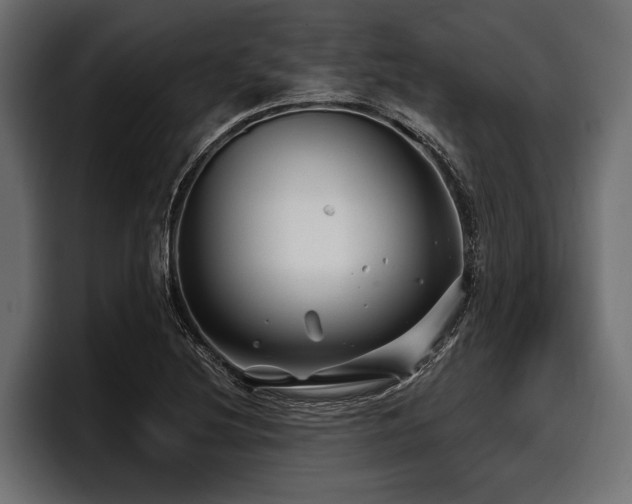 X0000097951220200803241147