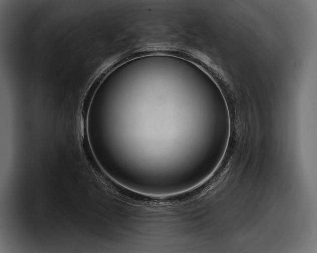 X0000097951221200803241147