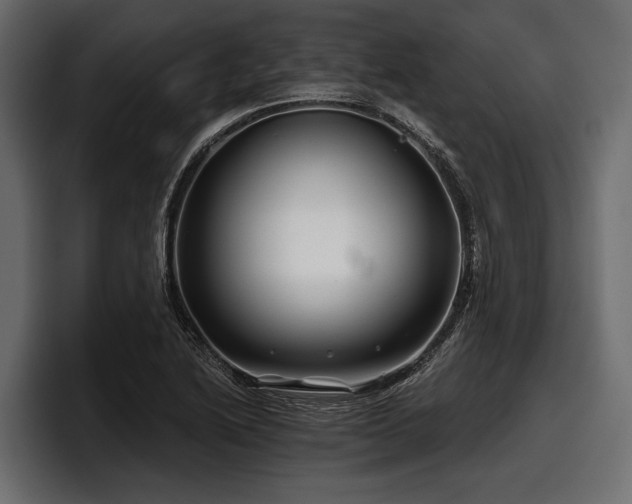 X0000097951222200803241147