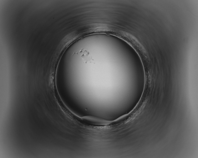 X0000097951225200803241147