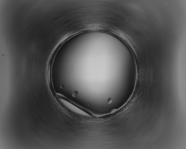 X0000097951227200803241147