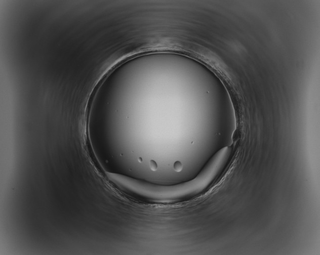 X0000097951228200803241147