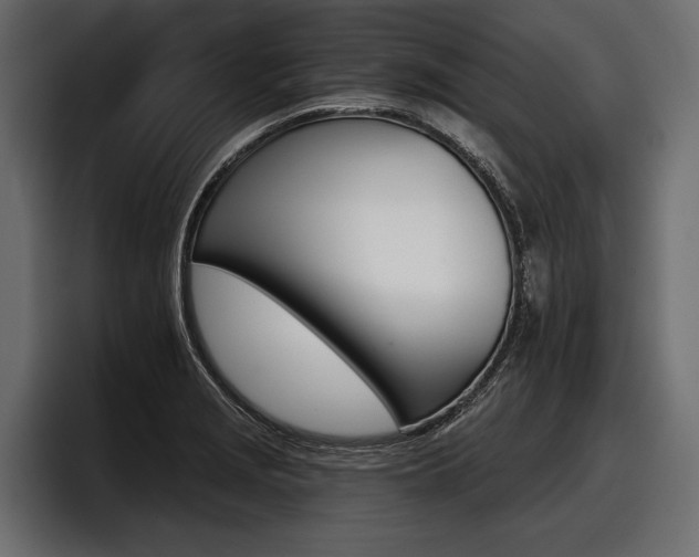 X0000097951229200803241147