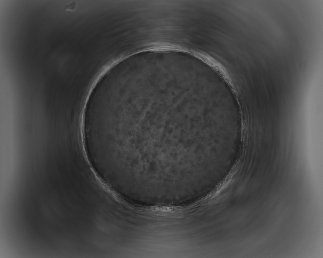 X0000097951231200803241147