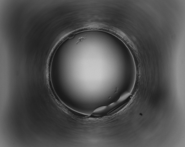 X0000097951232200803241147
