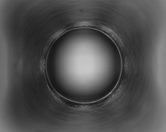X0000097951233200803241147