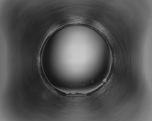 X0000097951234200803241147