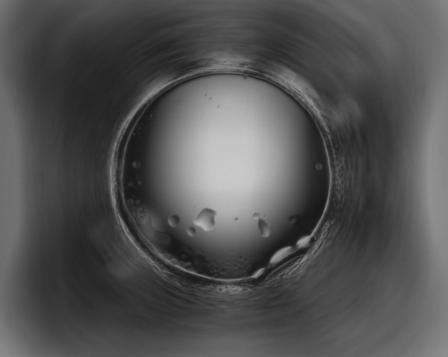 X0000097951235200803241147