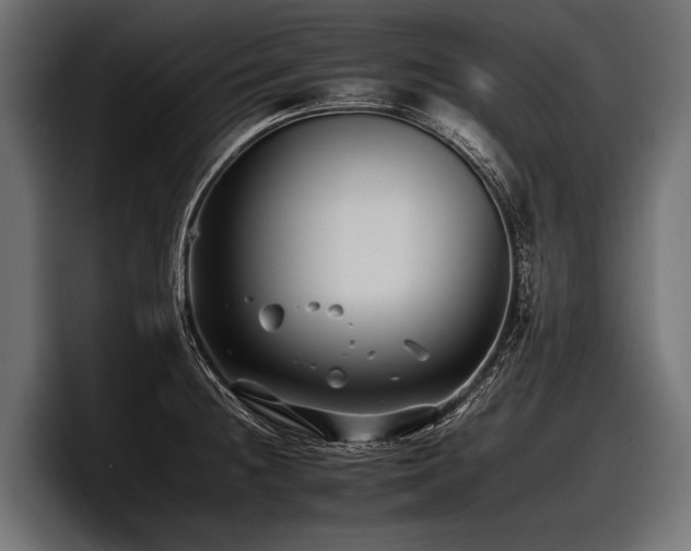 X0000097951236200803241147