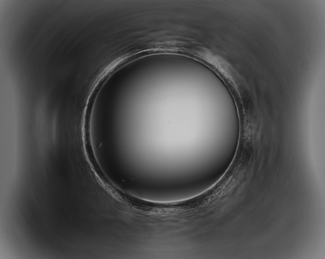 X0000097951237200803241147
