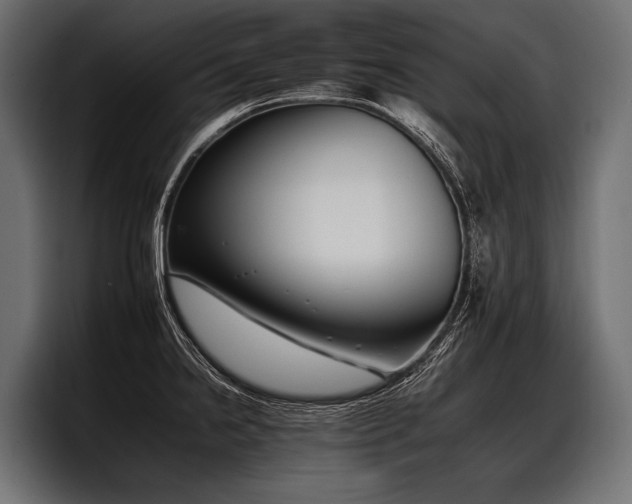 X0000097951238200803241147