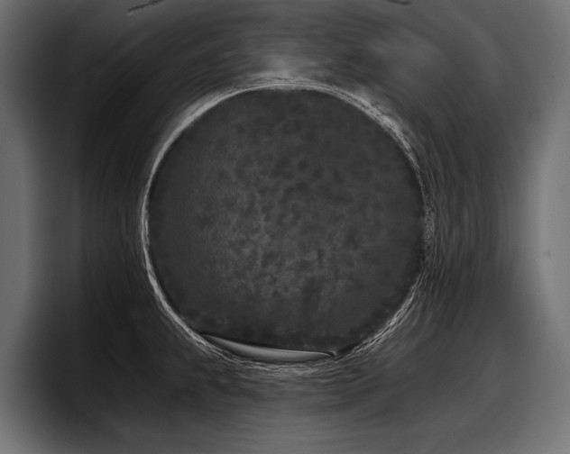 X0000097951239200803241147