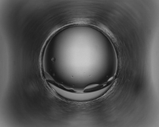X0000097951240200803241147