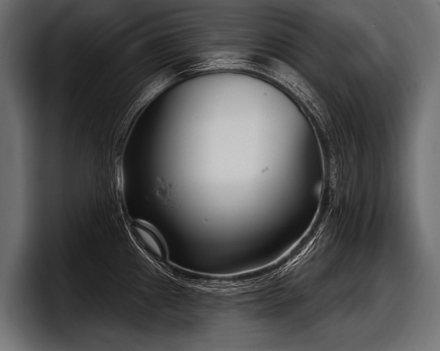 X0000097951241200803241147