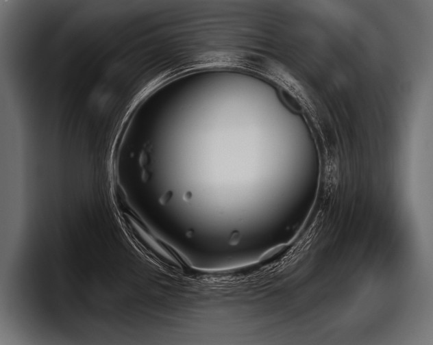 X0000097951242200803241147