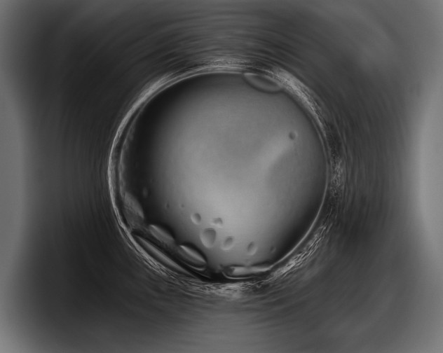 X0000097951243200803241147