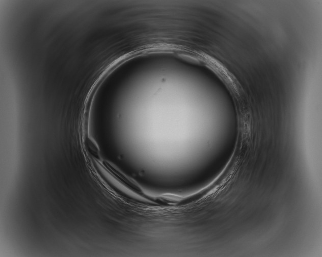 X0000097951244200803241147