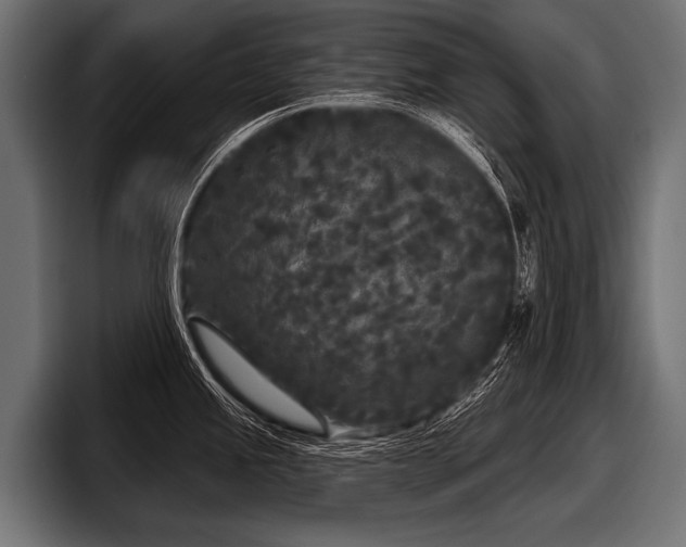 X0000097951245200803241147