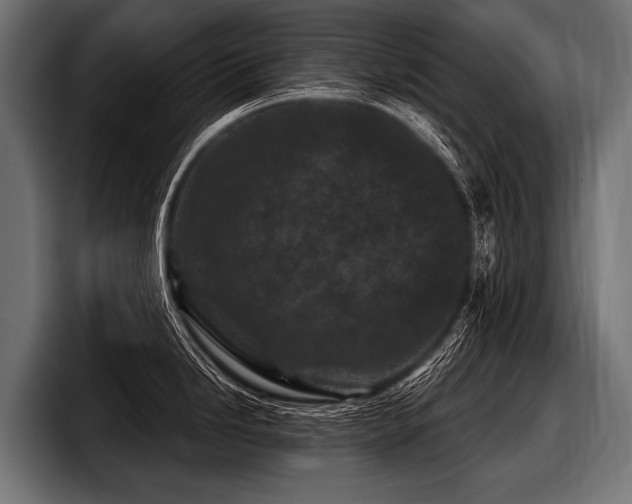 X0000097951246200803241147