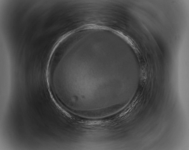 X0000097951247200803241147