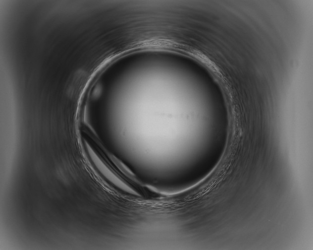 X0000097951248200803241147